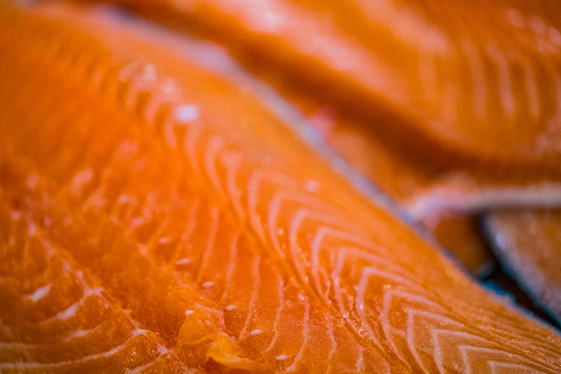 A close view of salmon
